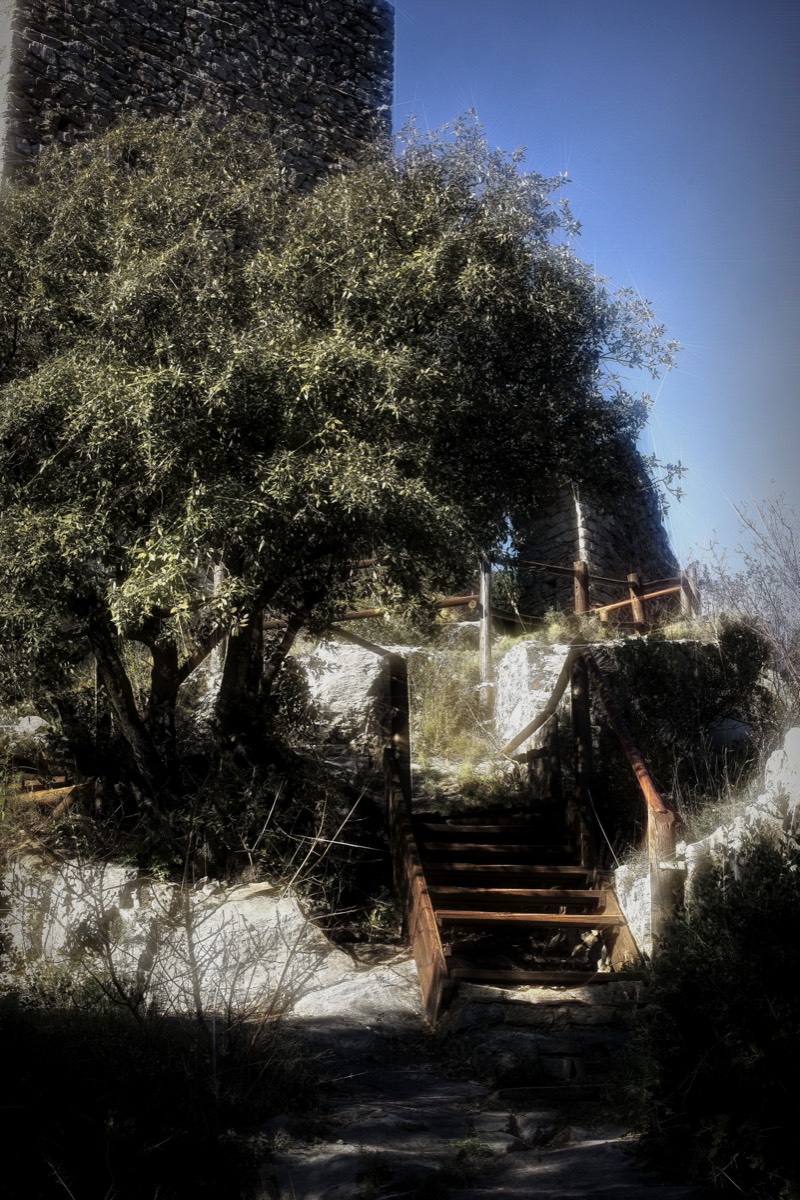 Stacks Image 19