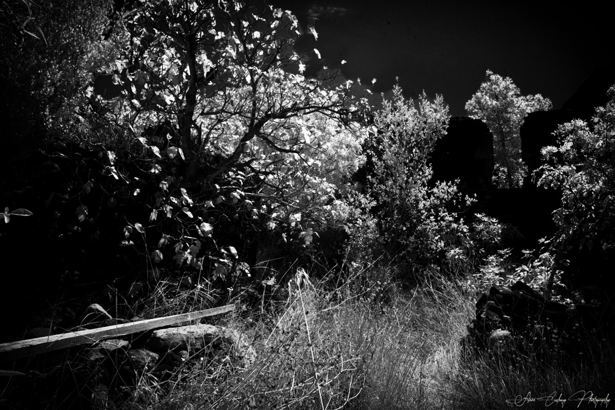 Stacks Image 20
