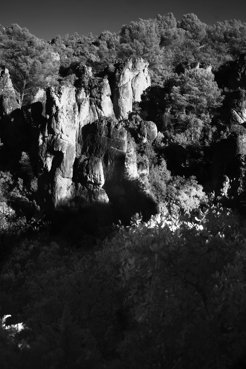 Stacks Image 81