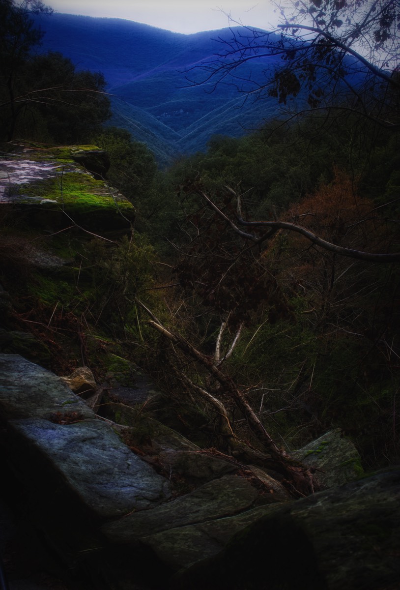 Stacks Image 7