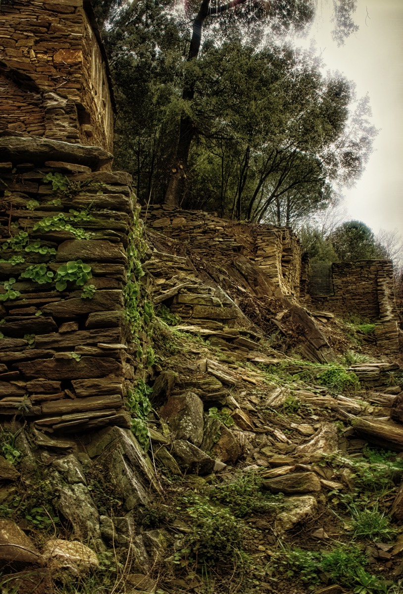 Stacks Image 73