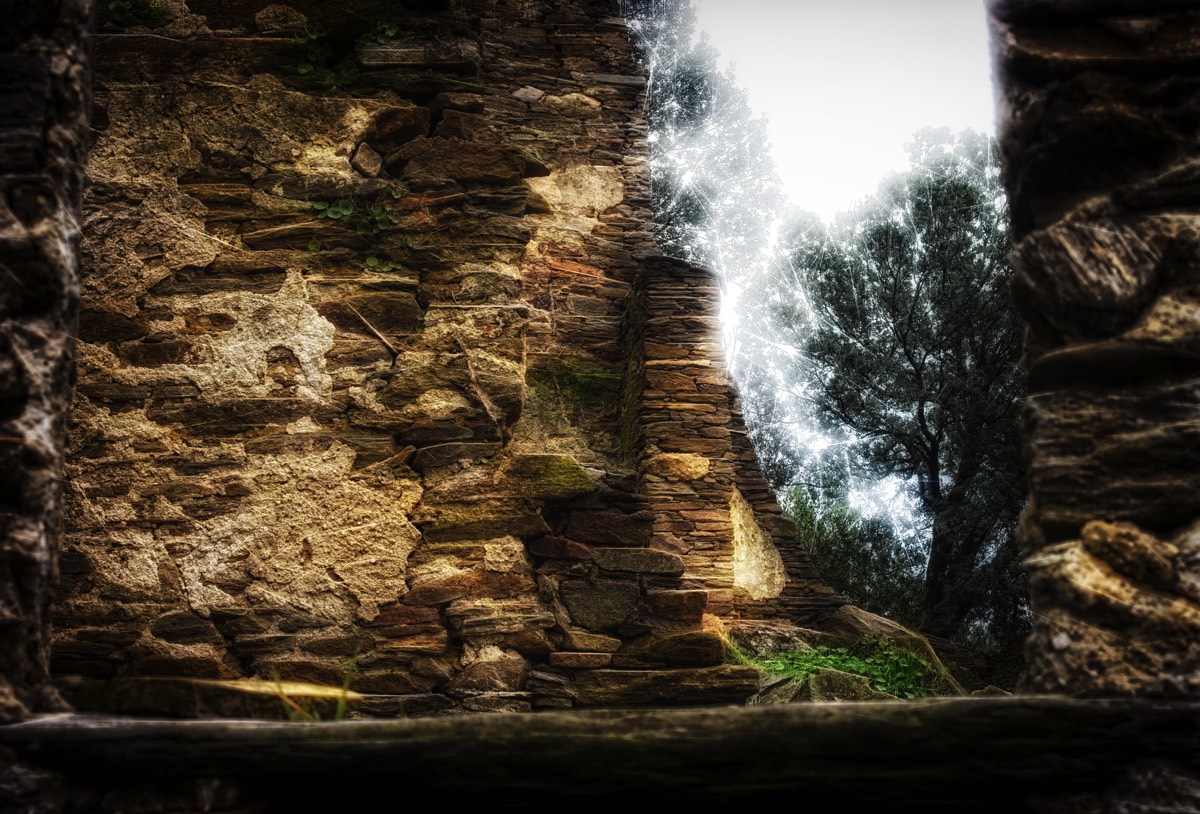 Stacks Image 75