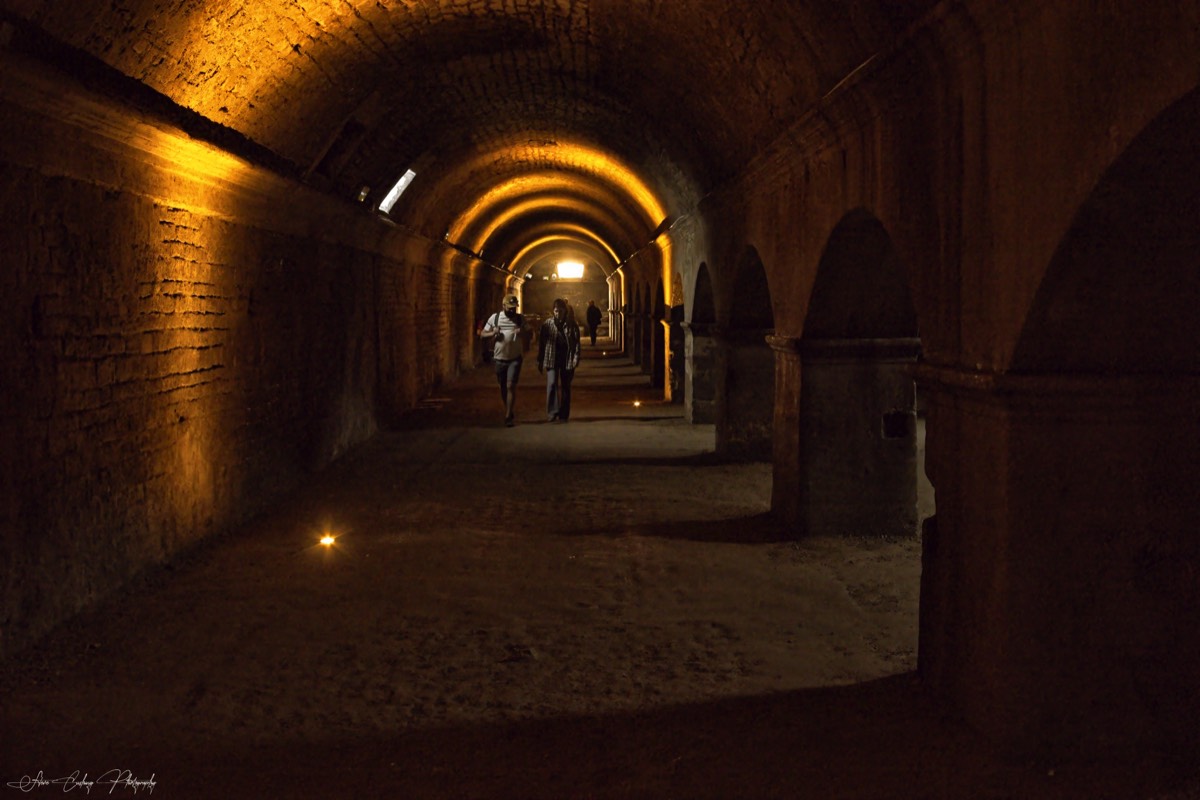 Stacks Image 129