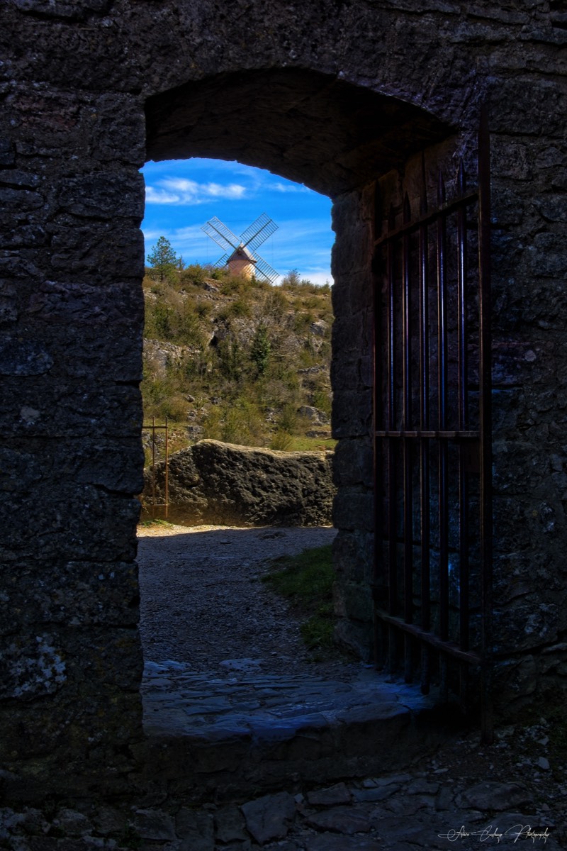 Stacks Image 114