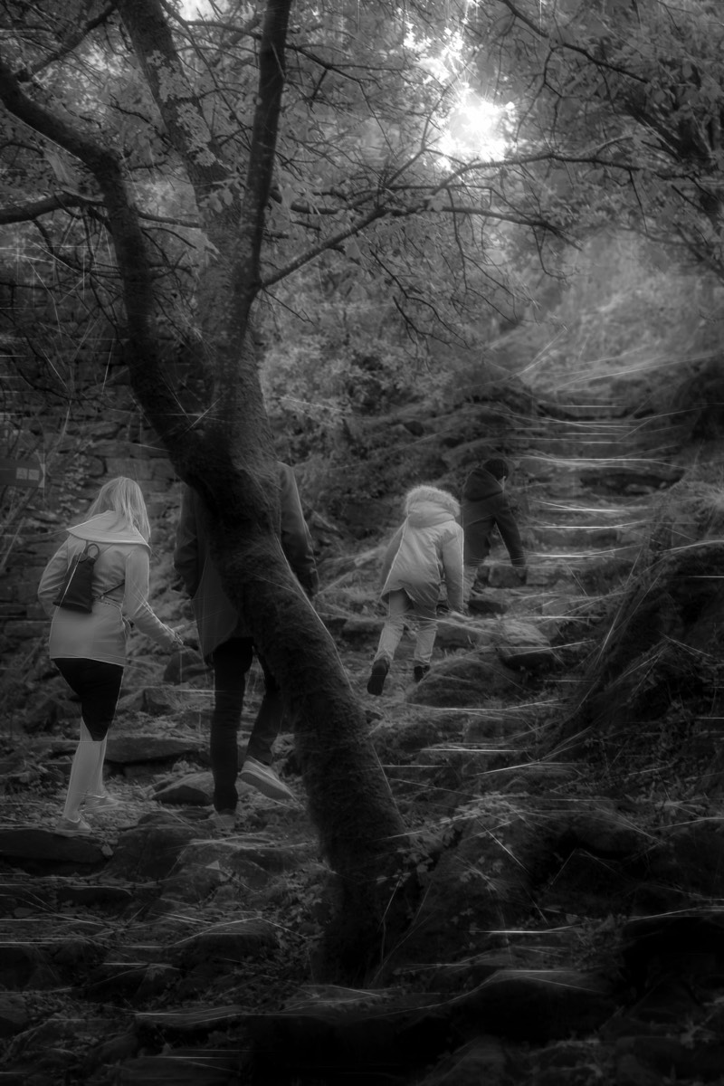 Stacks Image 74