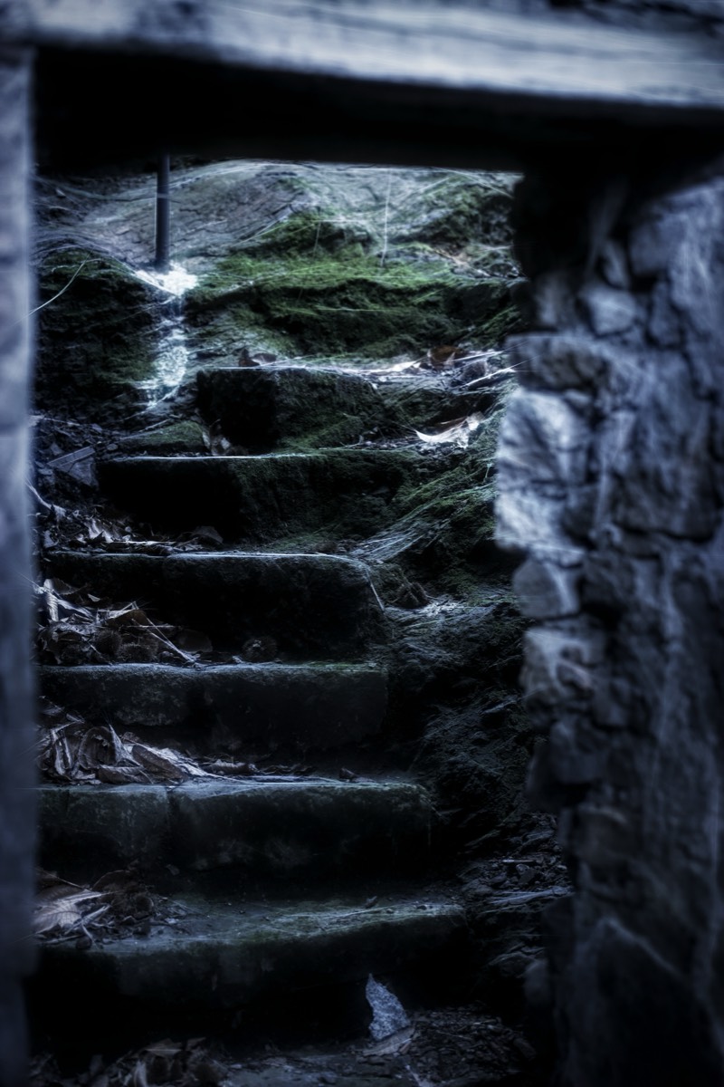 Stacks Image 7