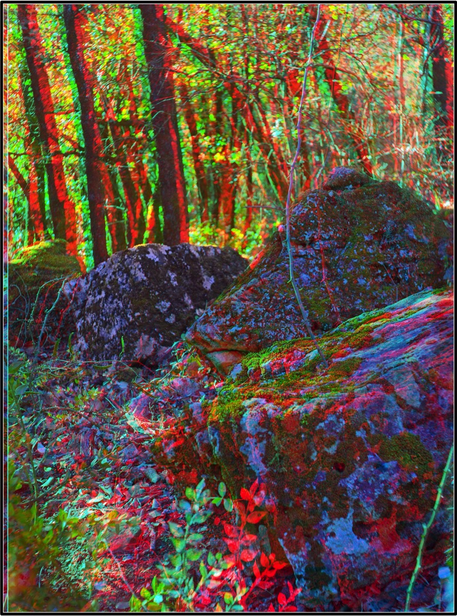 Stacks Image 454