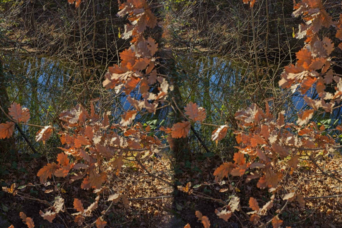 Stacks Image 419