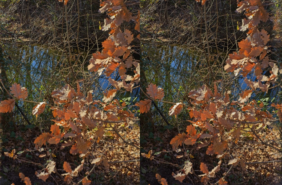 Stacks Image 391
