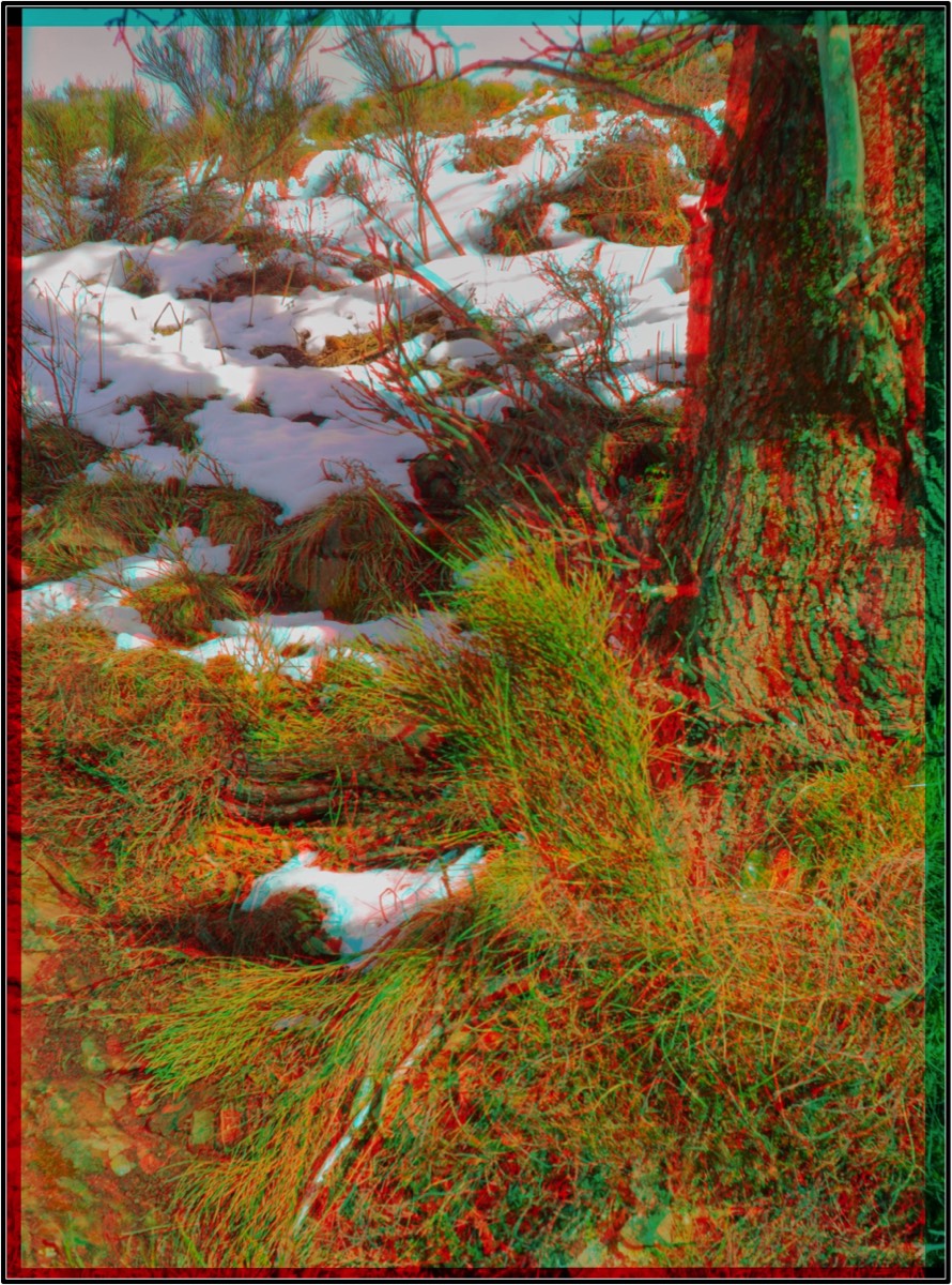 Stacks Image 354