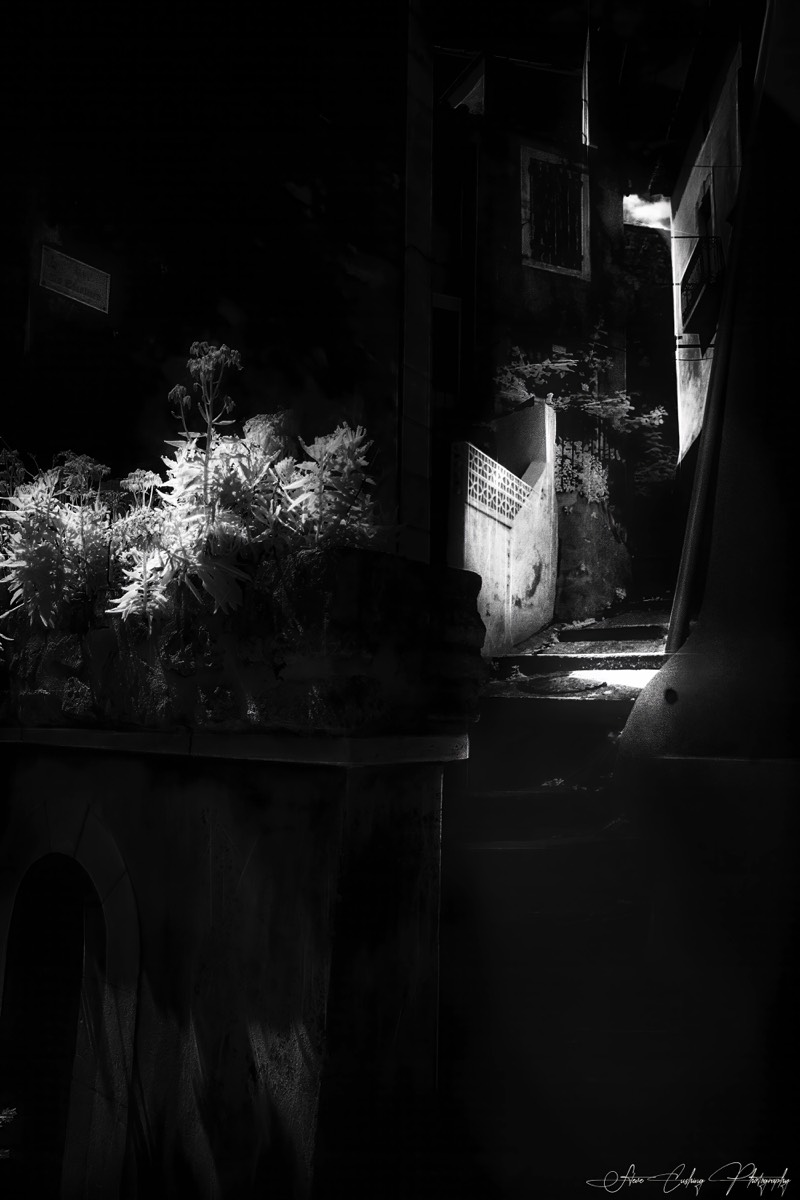 Stacks Image 201