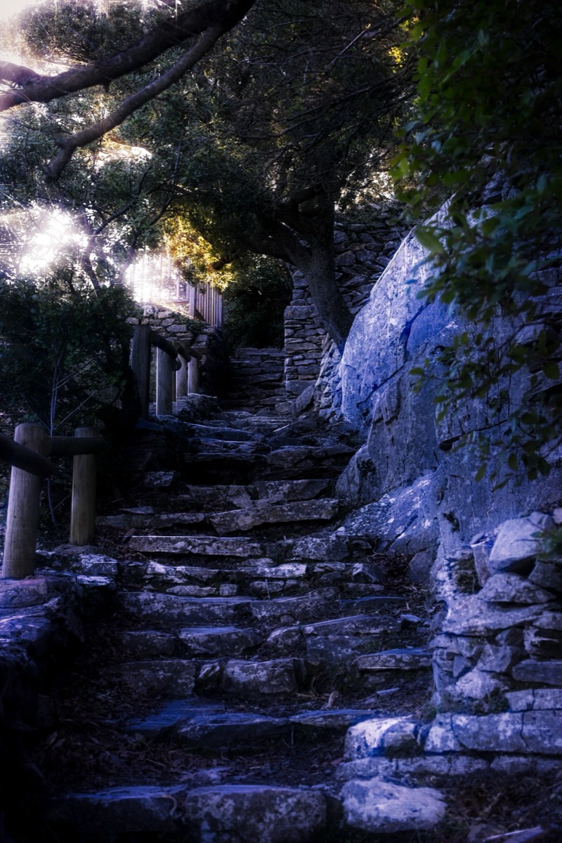 Stacks Image 19