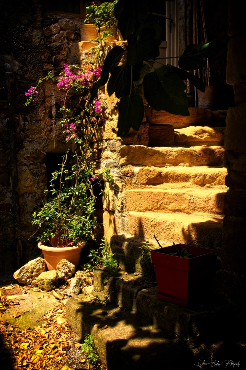 Stacks Image 84