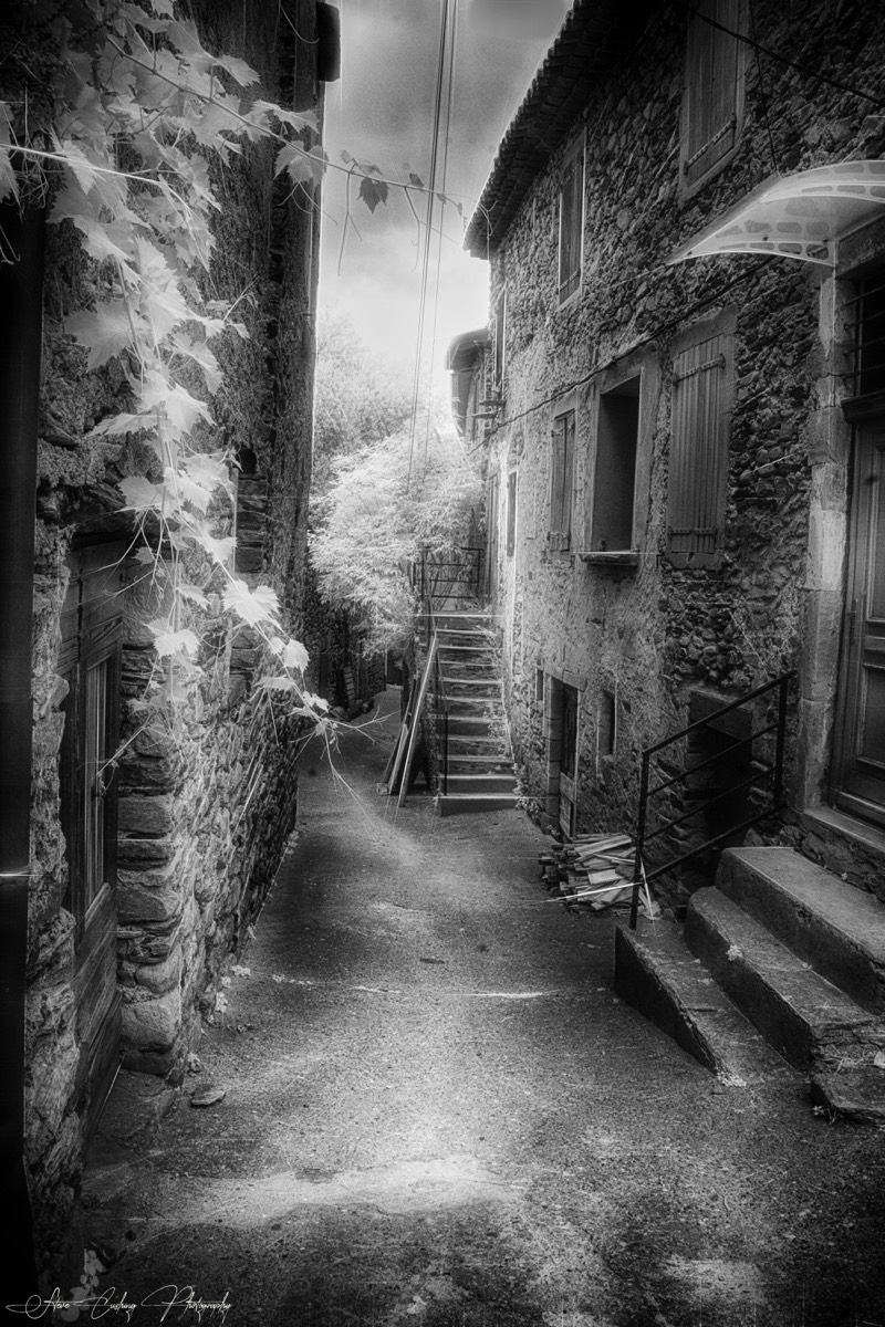 Stacks Image 62