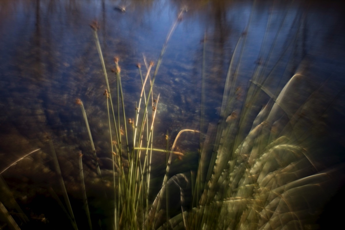 Stacks Image 97