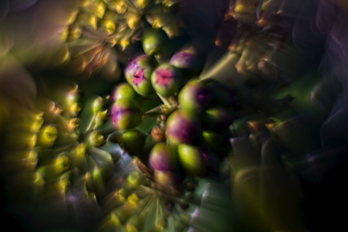 Stacks Image 123