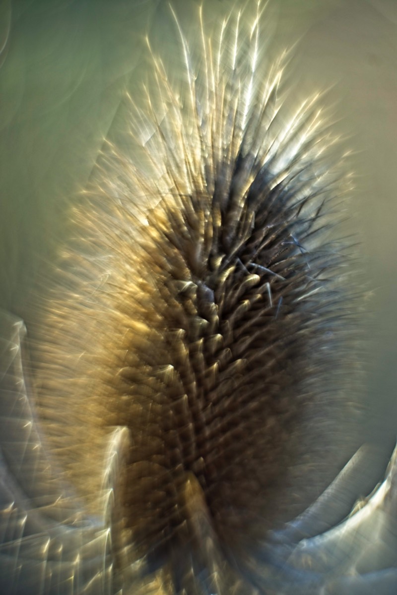 Stacks Image 137