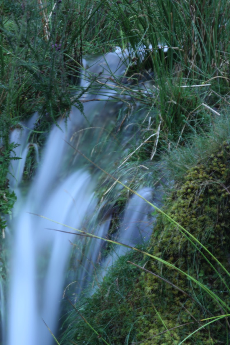 Stacks Image 17