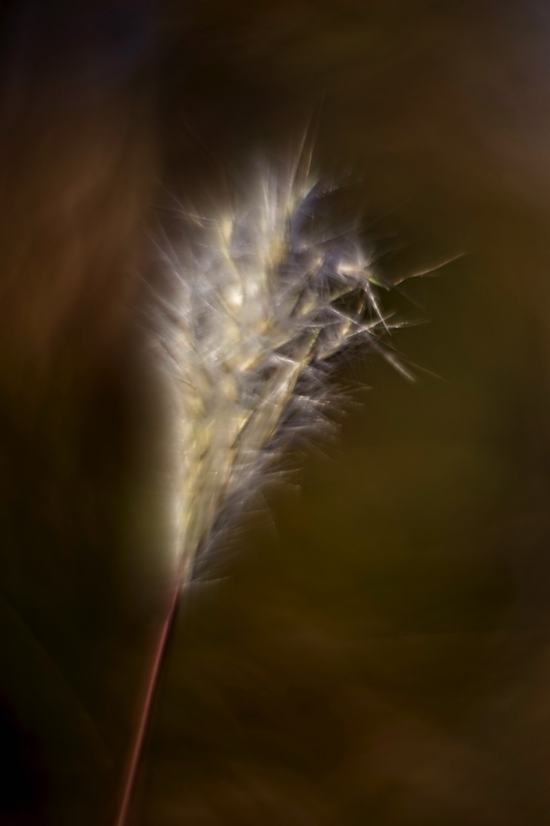 Stacks Image 125