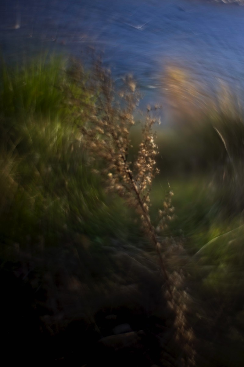 Stacks Image 111