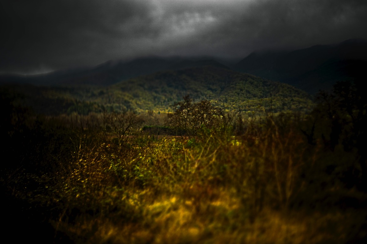 Stacks Image 129