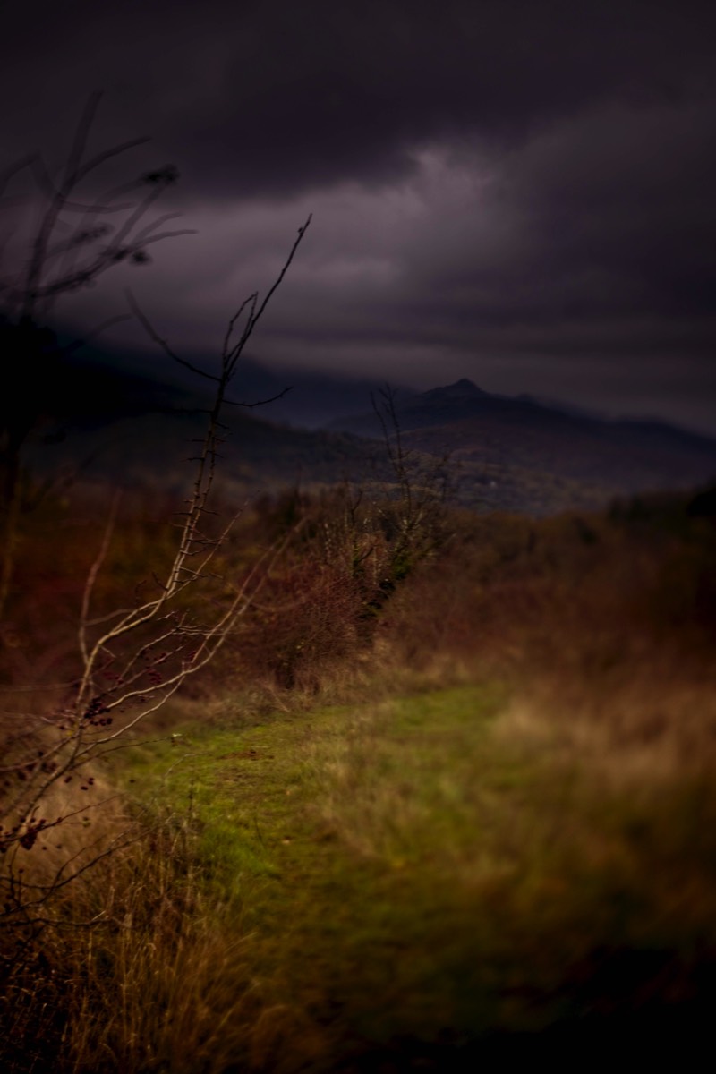Stacks Image 131