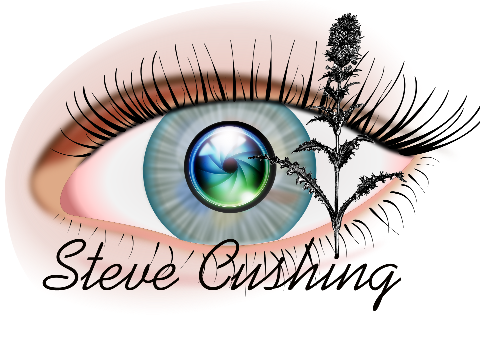 Steve Cushing Impresionist Fine Art Photography